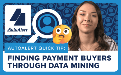 Finding Payment Buyers Through Automotive Data Mining